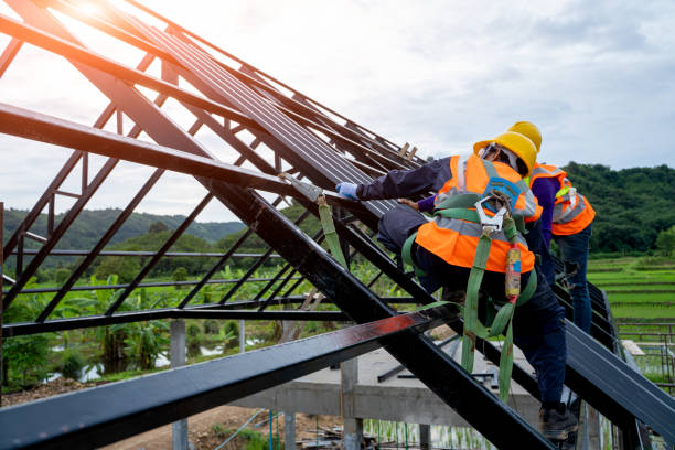 Best Flat Roof Repair Services  in Southern View, IL